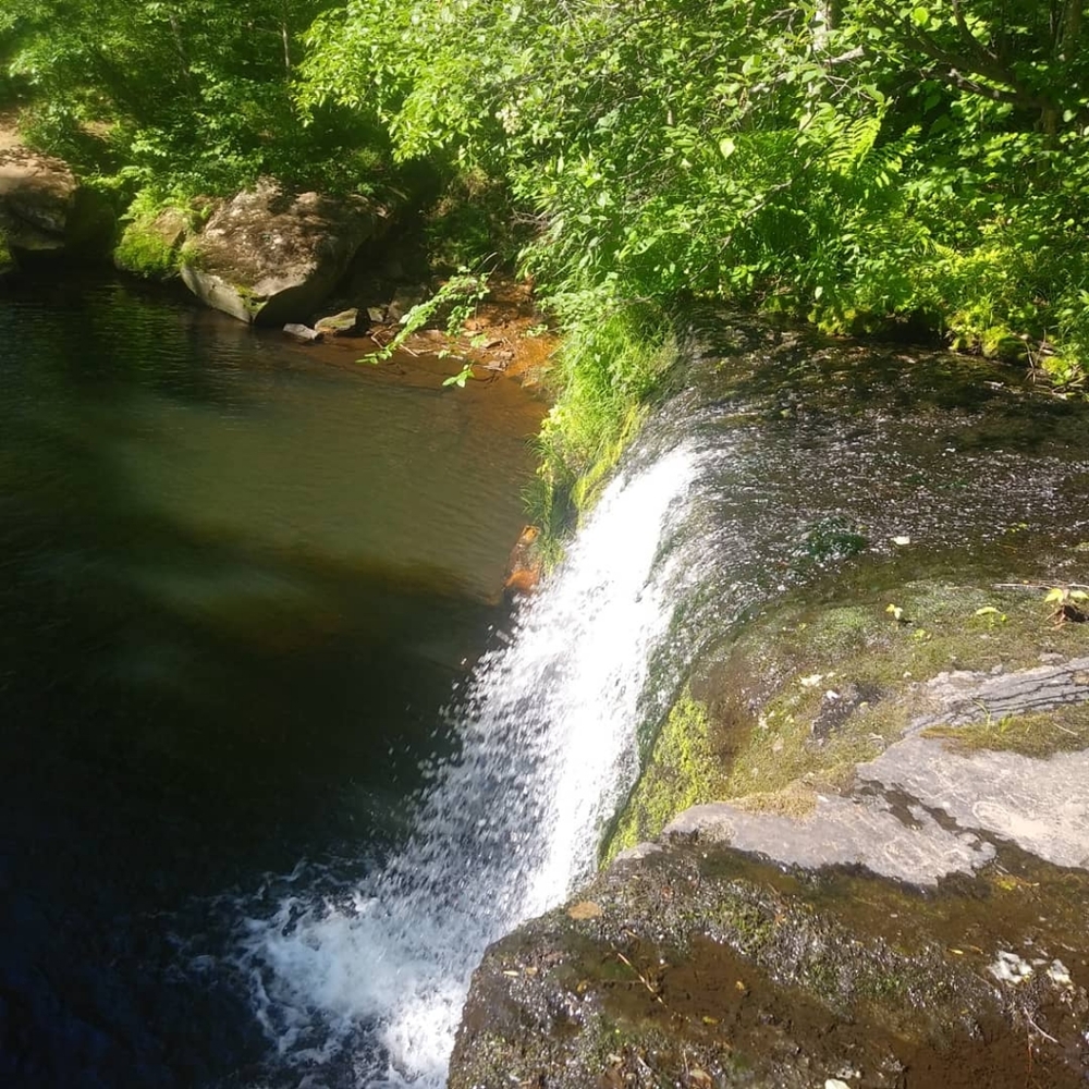 Meet your Posher, Cora